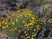 Scenic Road FM 170