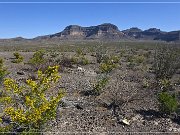 Scenic Road FM 170