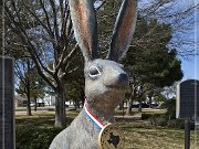 World's Largest Jackrabbit