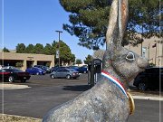 World's Largest Jackrabbit