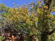 Red Rock Canyon SP