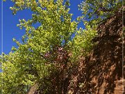 Red Rock Canyon SP