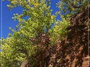 red_rock_canyon_sp_ok_06