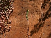 Red Rock Canyon SP