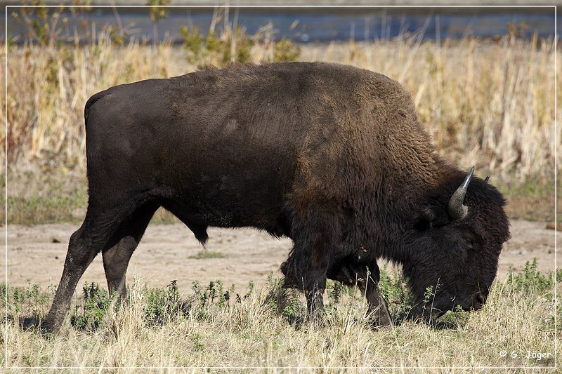 wichita_mountains_03.jpg