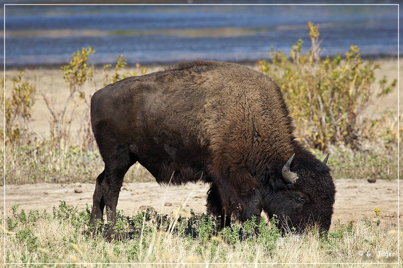 wichita_mountains_04.jpg