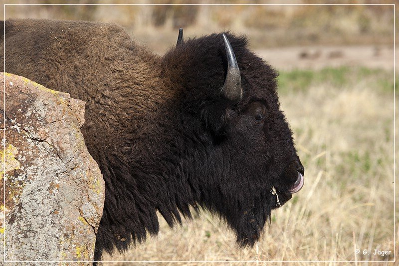 wichita_mountains_06.jpg