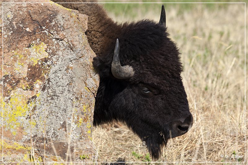 wichita_mountains_07.jpg