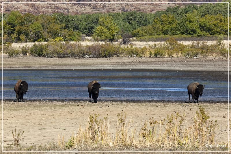 wichita_mountains_10.jpg