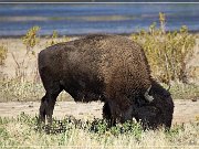 Wichita Mountains
