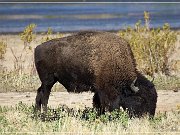 wichita_mountains_04