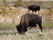 wichita_mountains_05