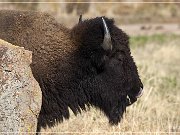 Wichita Mountains