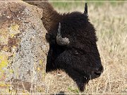 Wichita Mountains