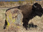 Wichita Mountains