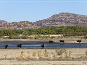 Wichita Mountains