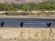 Wichita Mountains
