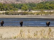 wichita_mountains_10