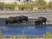 wichita_mountains_11