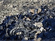 Big Obsidian Flow Trail