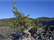 Big Obsidian Flow Trail