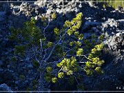 Big Obsidian Flow Trail