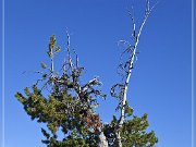 Big Obsidian Flow Trail