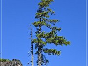Cascade Mountain Windy Point