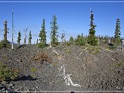 Cascade Mountain Windy Point