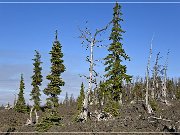 Cascade Mountain Windy Point