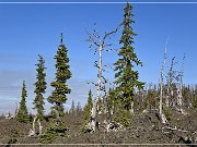 cascade_mountain_windy_point_17