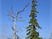 Cascade Mountain Windy Point