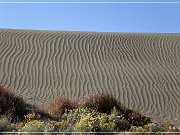Christmas Valley Sand Dunes