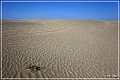 christmas_valley_sand_dunes_06