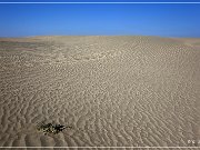 Christmas Valley Sand Dunes