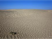 christmas_valley_sand_dunes_06