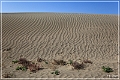 christmas_valley_sand_dunes_07