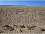 Christmas Valley Sand Dunes