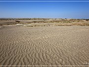 Christmas Valley Sand Dunes
