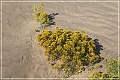 christmas_valley_sand_dunes_11