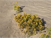 Christmas Valley Sand Dunes