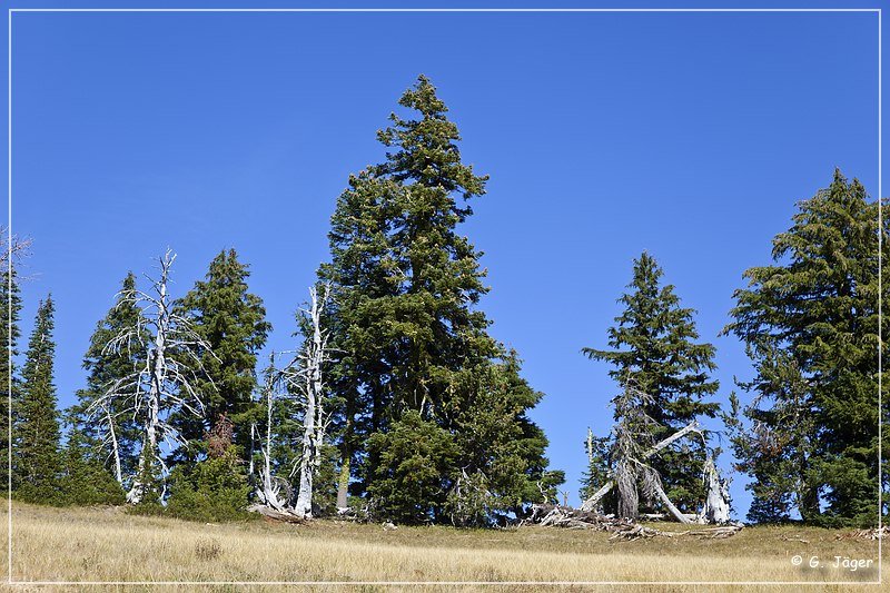 crater_lake_np_30.jpg