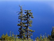 crater_lake_np_05