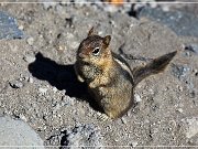 crater_lake_np_06