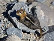 crater_lake_np_08