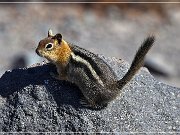 crater_lake_np_09