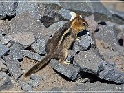 crater_lake_np_10