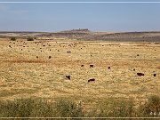Diamond Crater