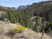 oregon_us_26_02