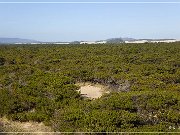 Oregon Dunes NRA